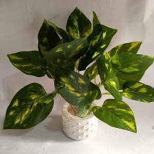 Mini Money Planter