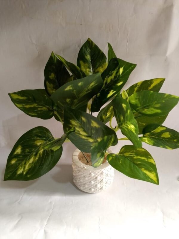 Mini Money Planter