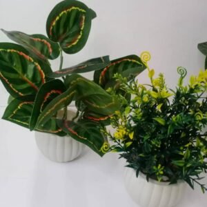 Artificial Plants Pack of 2