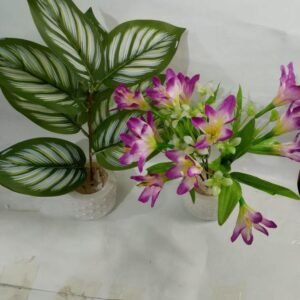 Mini Money and Lili Flower Planter-Pack of 2