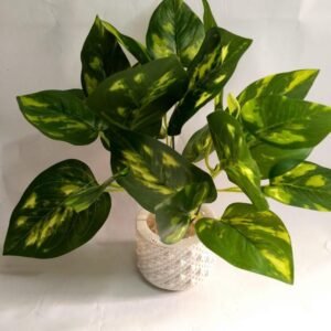 Mini Money Planter