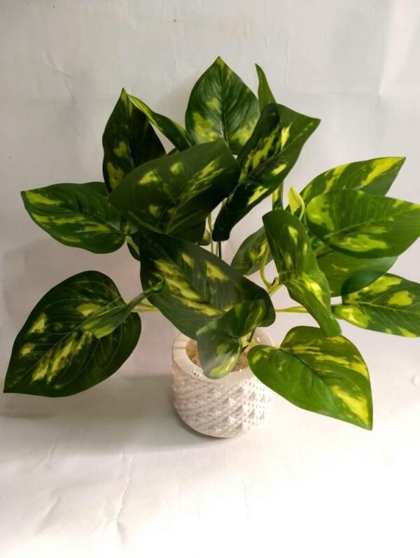 Mini Money Planter
